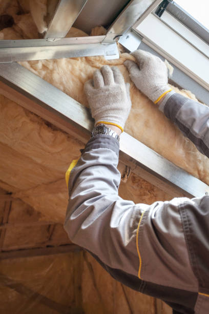 Best Insulation for New Construction  in Crescent Springs, KY